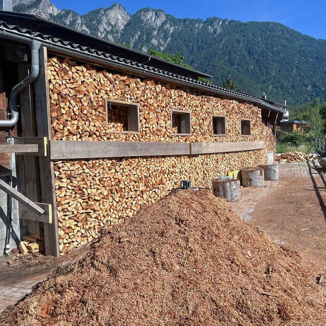 Holz